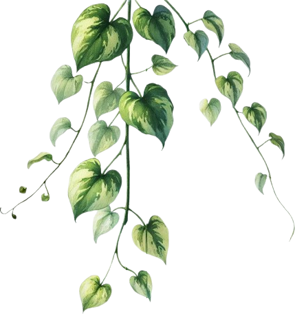 Plante verte décorative dans le cabinet de psychologie